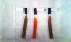 hennacolor2